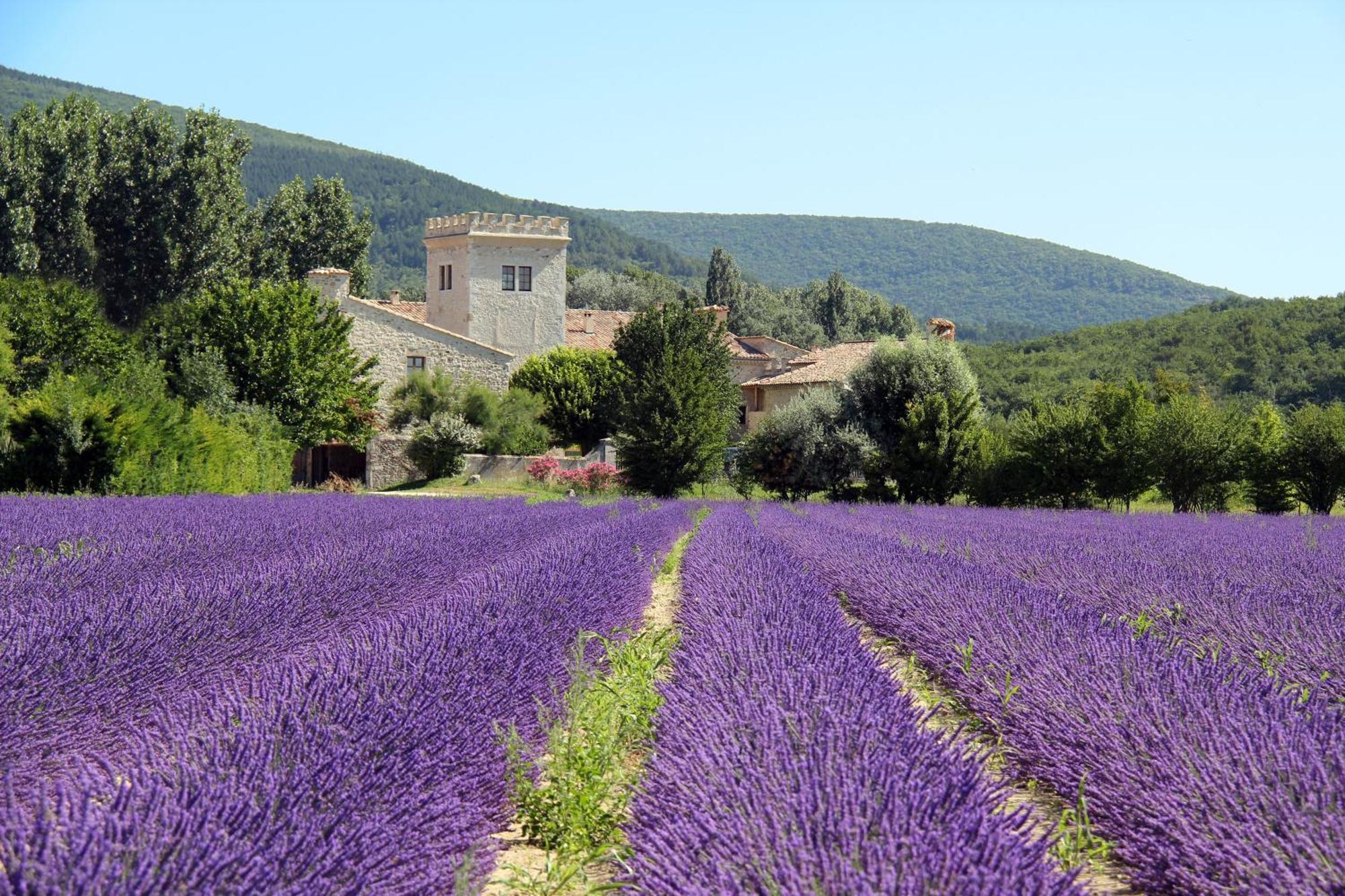 La Colombiere - Vue Imprenable Sur L'Ardeche - Tres Calme - Tres Bien Situe - Residence Privee Montélimar Dış mekan fotoğraf